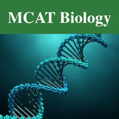 MCAT® Biological & Biochemical Foundations Of Living Systems Section